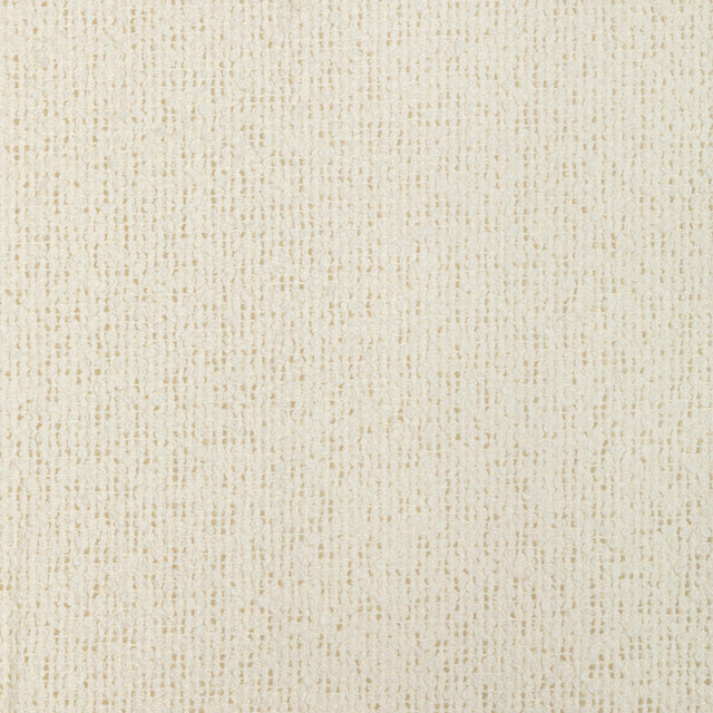 Kravet DESIGN 4923 1 Drapery Fabric