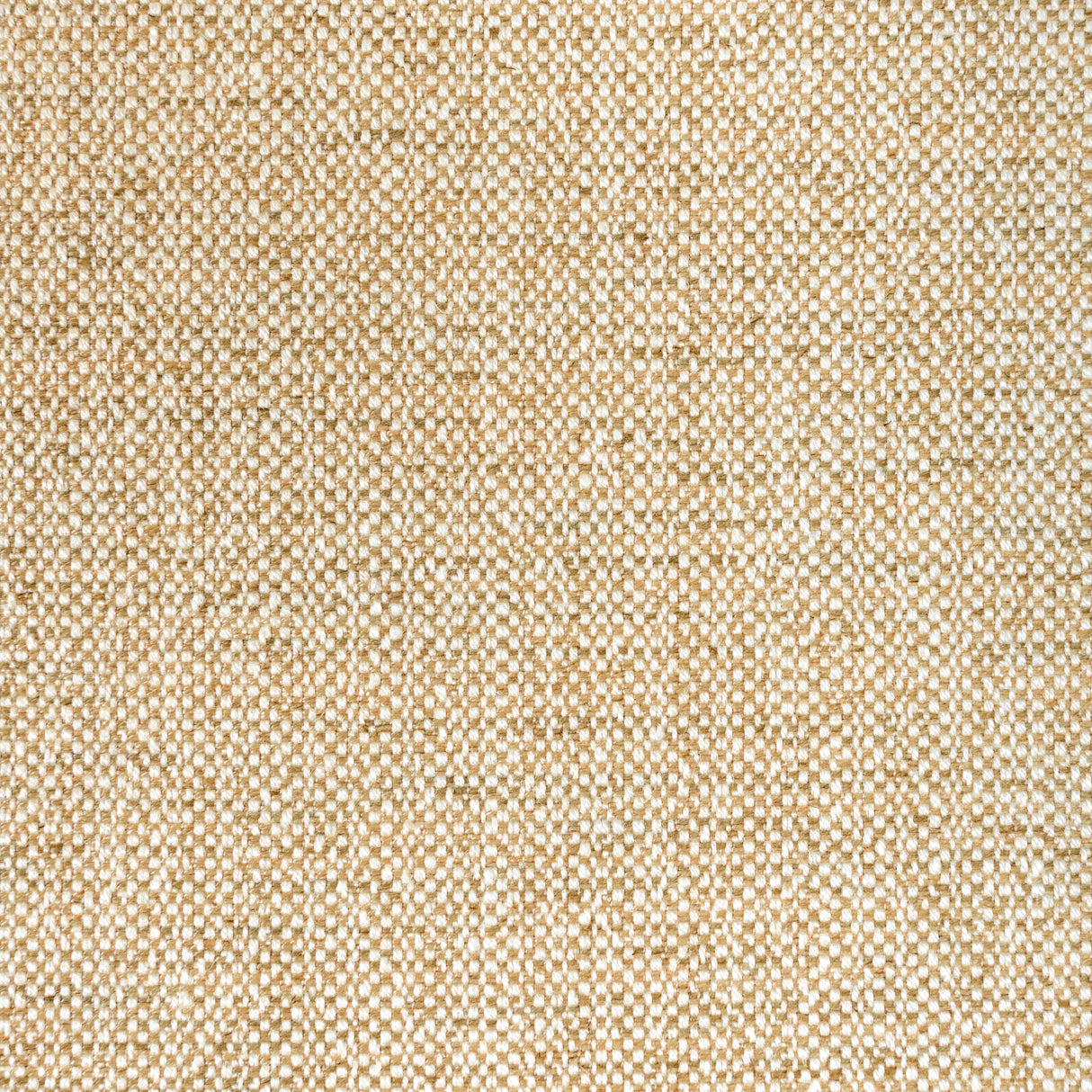 Brunschwig & Fils ROSPICO PLAIN BEIGE Upholstery Fabric