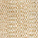 Brunschwig & Fils ROSPICO PLAIN BEIGE Upholstery Fabric