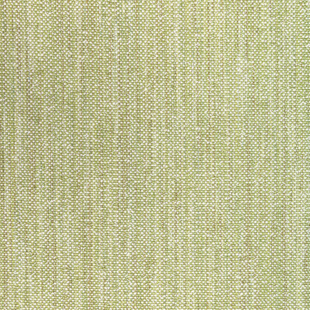 Brunschwig & Fils ROSPICO PLAIN LEAF Upholstery Fabric