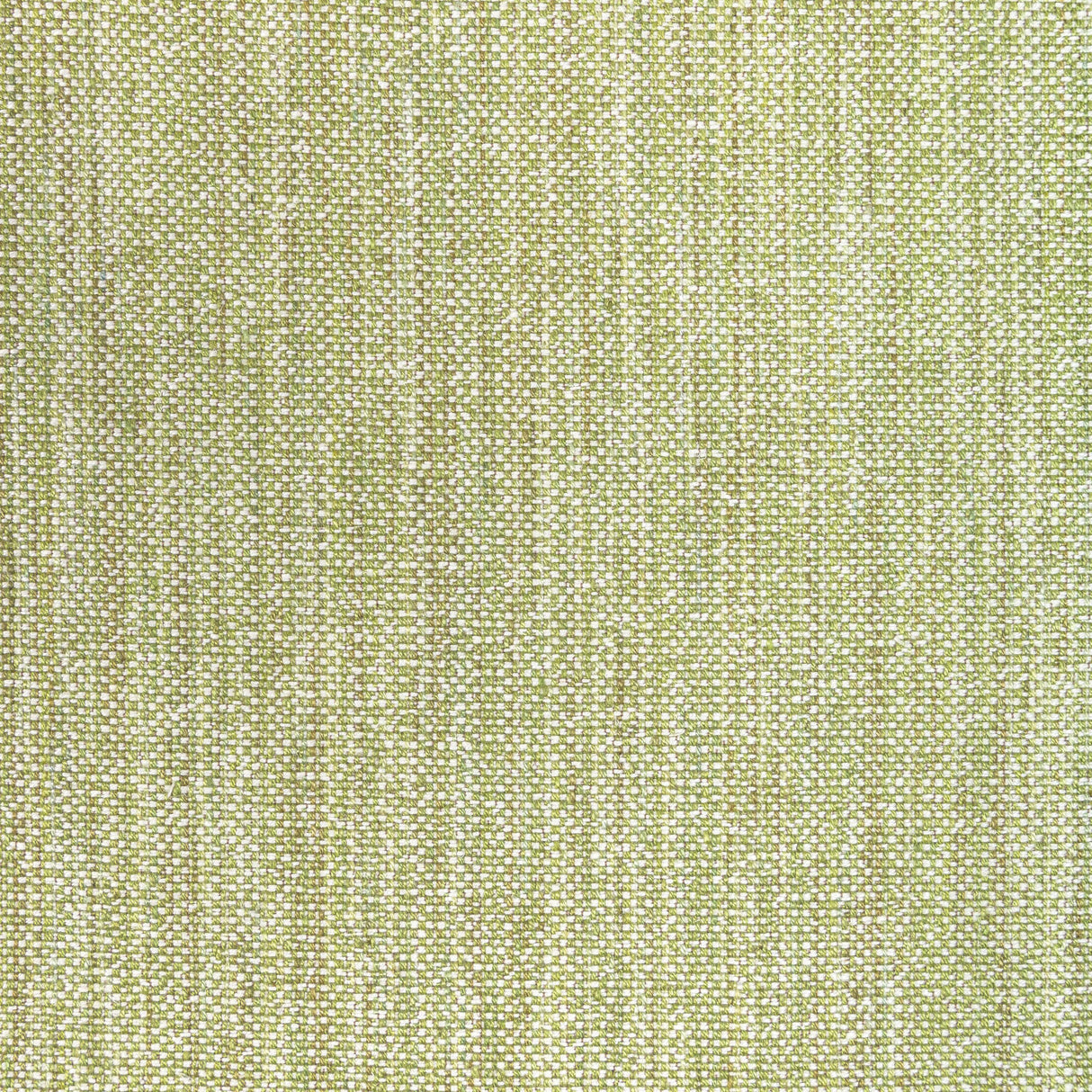 Brunschwig & Fils ROSPICO PLAIN LEAF Upholstery Fabric