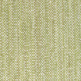 Brunschwig & Fils ROSPICO PLAIN LEAF Upholstery Fabric