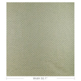 Brunschwig & Fils CALVIN WEAVE GREEN Upholstery Fabric