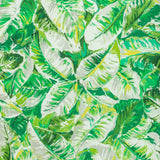 Brunschwig & Fils DIANI PRINT LEAF Fabric
