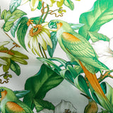 Brunschwig & Fils ANIMA PRINT LEAF Fabric