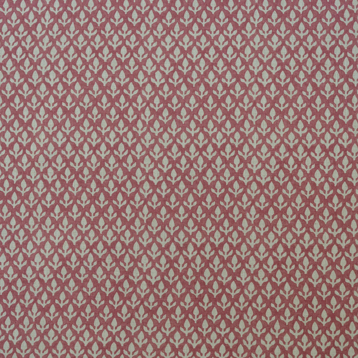 Andrew Martin BUD PINK Fabric