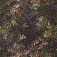 Clarke & Clarke CONGO AMETHYST/EMERALD WP Wallpaper