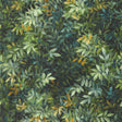 Clarke & Clarke CONGO FOREST WP Wallpaper