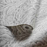 Clarke & Clarke LUMINO CLOUD WP Wallpaper