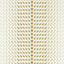 Clarke & Clarke FRAGMENT NATURAL/GOLD WP Wallpaper