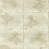 Clarke & Clarke IGNEOUS CHAMPAGNE WP Wallpaper