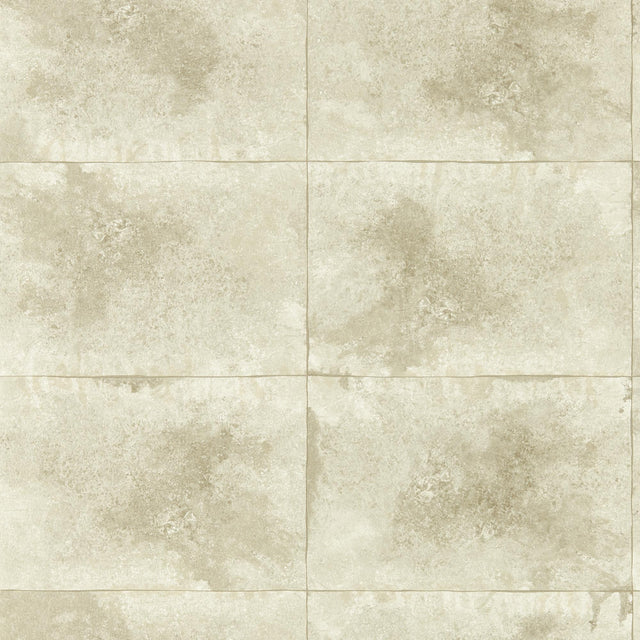 Clarke & Clarke IGNEOUS CHAMPAGNE WP Wallpaper