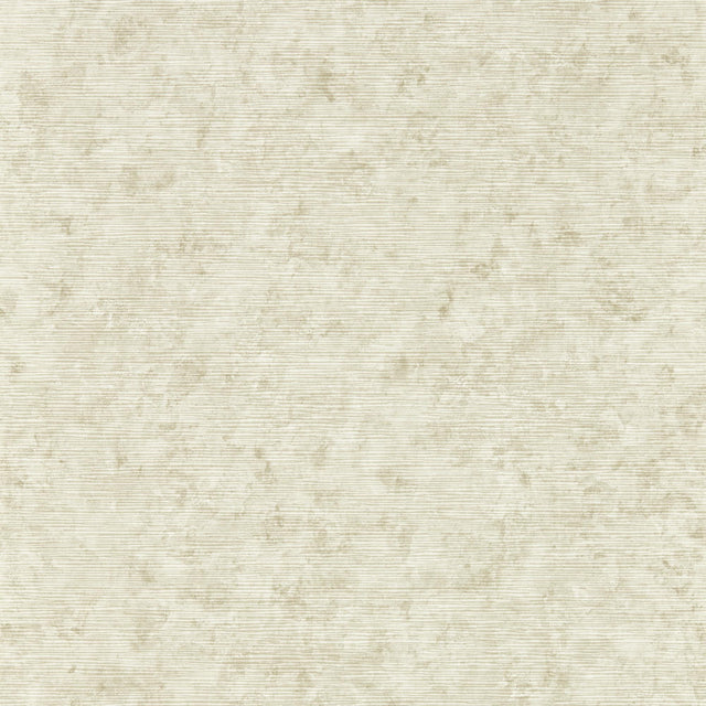 Clarke & Clarke IMPRESSION NATURAL WP Wallpaper