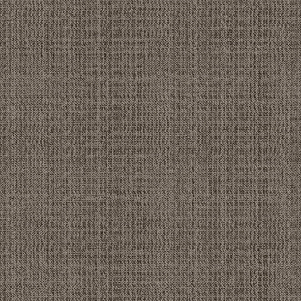 Winfield Thybony CONWAY BARK Wallpaper