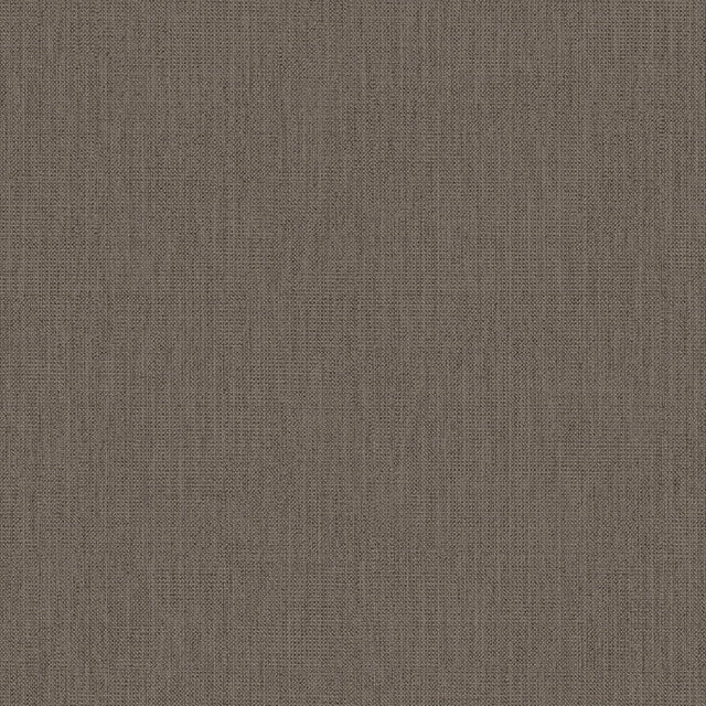 Winfield Thybony CONWAY BARK Wallpaper