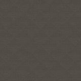 Winfield Thybony TORRANCE MINK Wallpaper