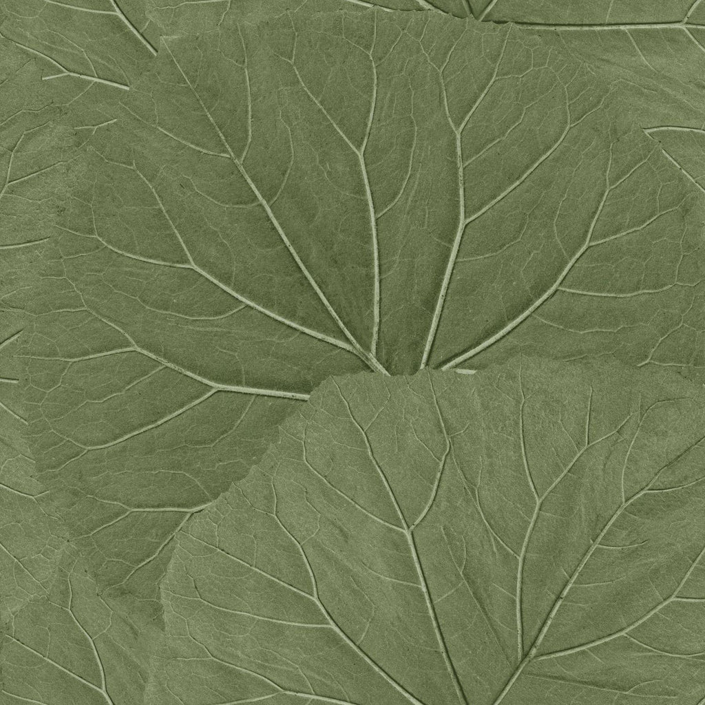 Brewster Home Fashions Xylem Olive Large Leaves Wallpaper