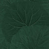 Brewster Home Fashions Leaves Evergreen Wallpaper