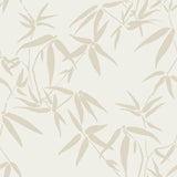 Brewster Home Fashions Guadua Bamboo Leaves Beige Wallpaper