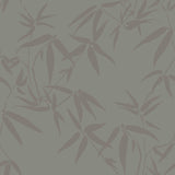 Brewster Home Fashions Guadua Grey Bamboo Leaves Wallpaper