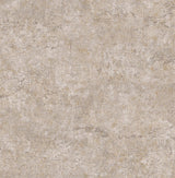 Brewster Home Fashions Colt Blush Cement Wallpaper