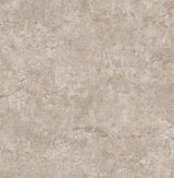 Brewster Home Fashions Colt Cement Blush Wallpaper