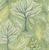 Brewster Home Fashions Kiah Green Forest Wallpaper