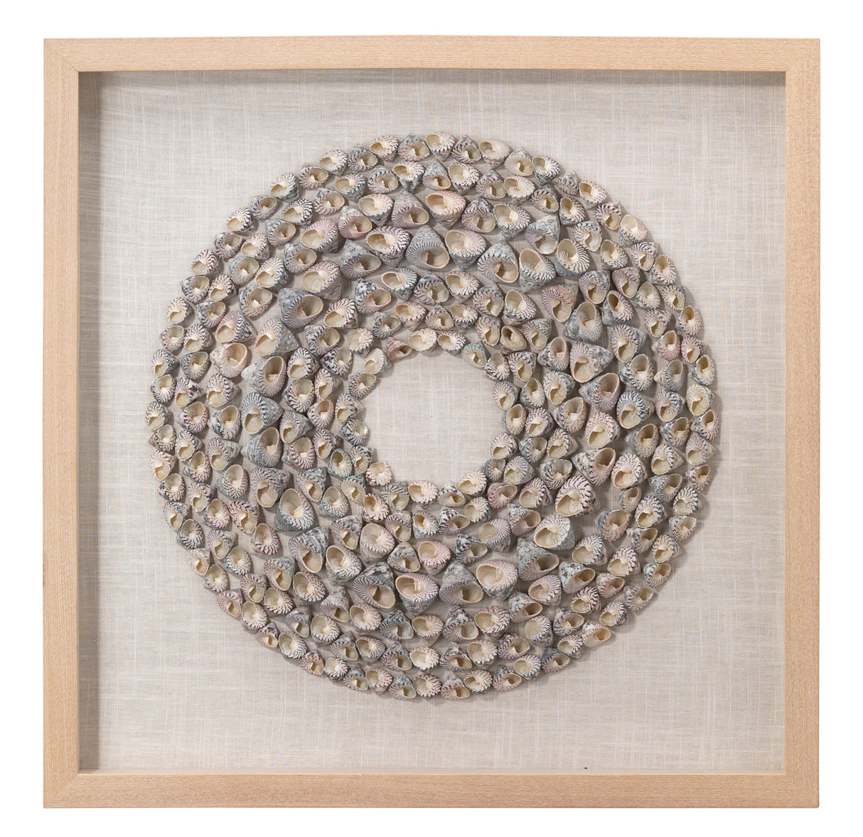 Jamie Young Bora Bora Framed Wall Art, Taupe Snail Shell