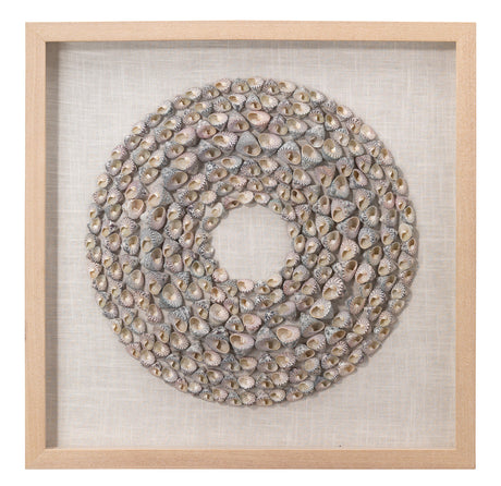 Jamie Young Bora Bora Framed Wall Art, Taupe Snail Shell