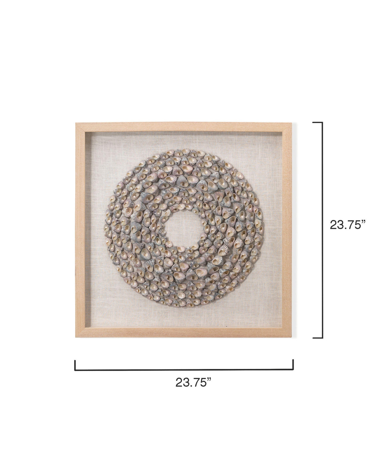 Jamie Young Bora Bora Framed Wall Art, Taupe Snail Shell