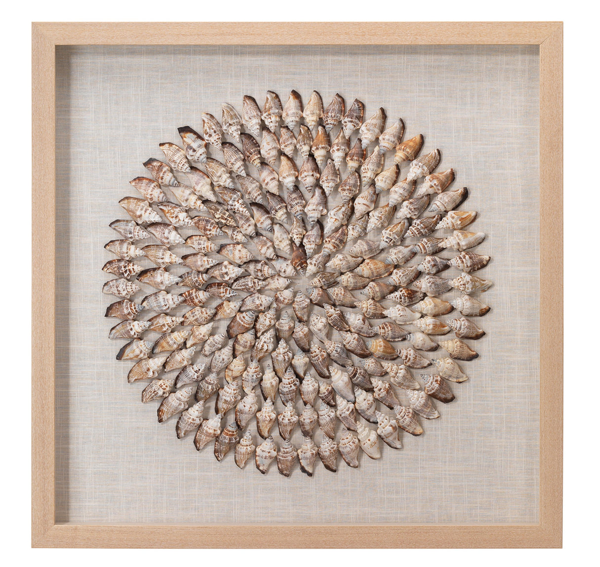 Jamie Young Riviera Framed Wall Art, Beige Simnia Shell