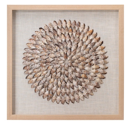 Jamie Young Riviera Framed Wall Art, Beige Simnia Shell