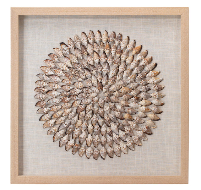 Jamie Young Riviera Framed Wall Art, Beige Simnia Shell