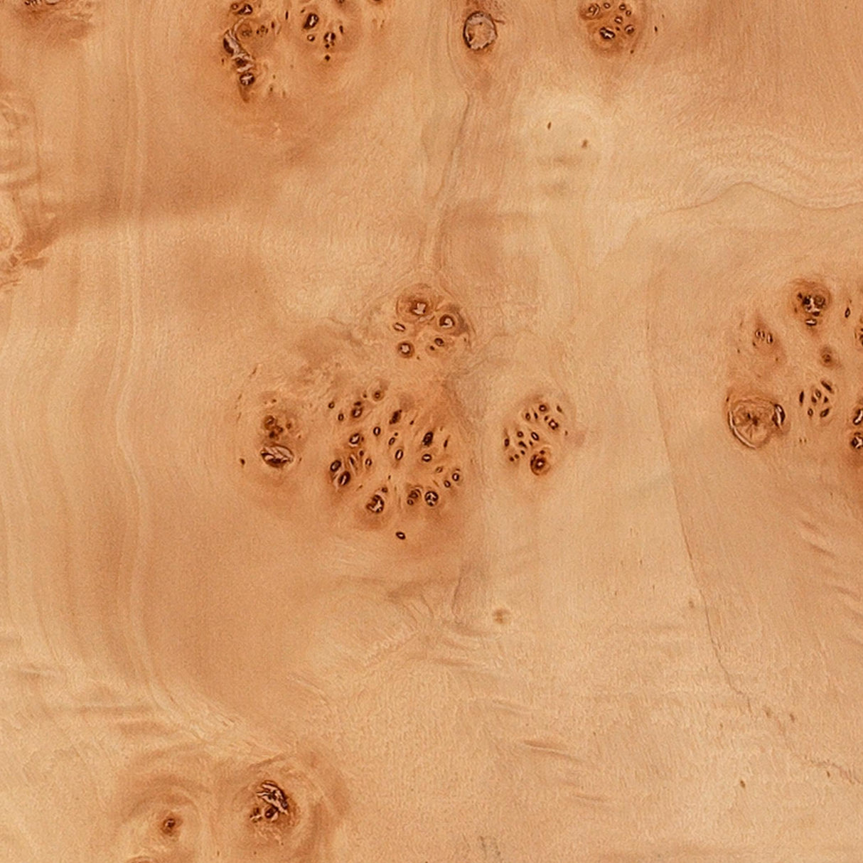 Jamie Young Parallel Burl Wood Floor Lamp