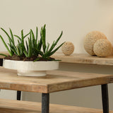 Jamie Young Coco Ceramic Decorative Pedestal