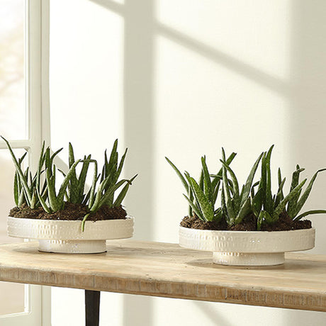 Jamie Young Coco Ceramic Decorative Pedestal