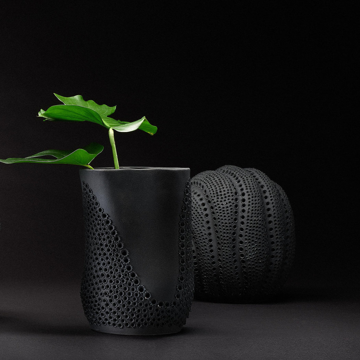 Jamie Young Moonrise Porcelain Decorative Vase, Black