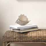 Jamie Young Triton Hand Blown Decorative Glass Shell, Grey