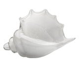 Jamie Young Triton Hand Blown Decorative Glass Shell, White