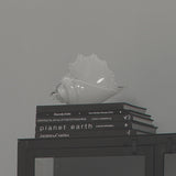 Jamie Young Triton Hand Blown Decorative Glass Shell, White