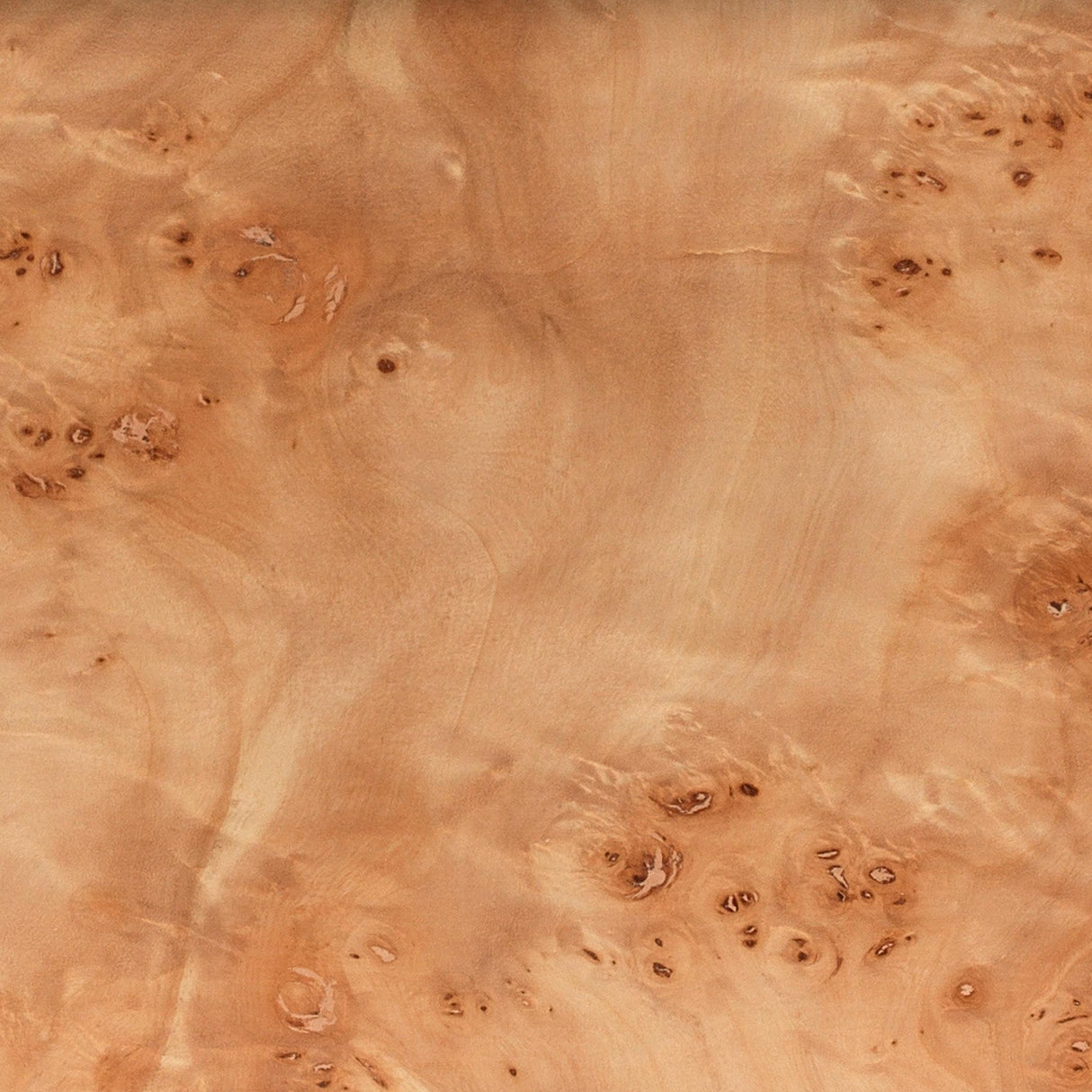 Jamie Young Parallel Burl Wood Table Lamp with Linen Shade