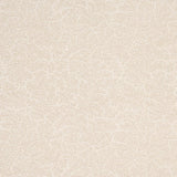 Schumacher Bougainvillea Neutral Fabric