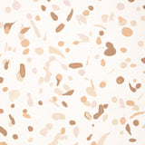 Schumacher Backdrop X Schumacher Los Cosmos Earth Wallpaper