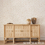 Schumacher Backdrop X Schumacher Los Cosmos Earth Wallpaper