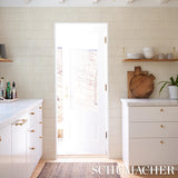 Schumacher Backdrop X Schumacher Wabi-Sabi Light Beige Wallpaper