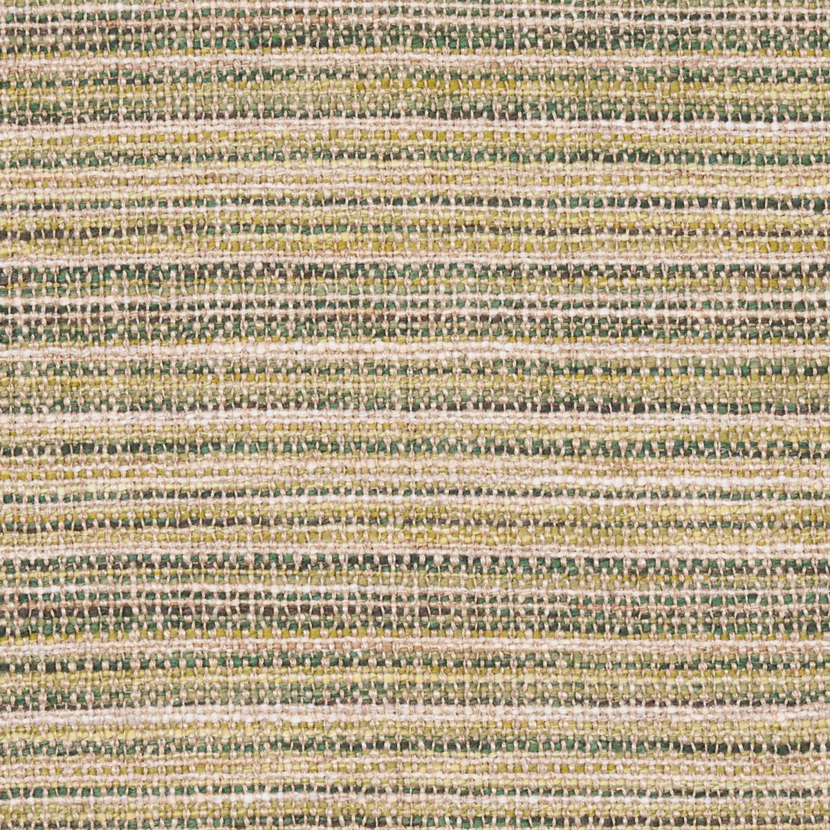 Schumacher Formentera Performance Moss Fabric
