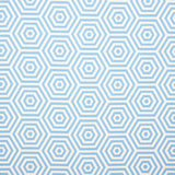 Schumacher Bees Knees Indoor/Outdoor Pool Fabric