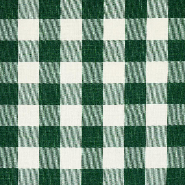 Schumacher Picnic Indoor/Outdoor Emerald Fabric