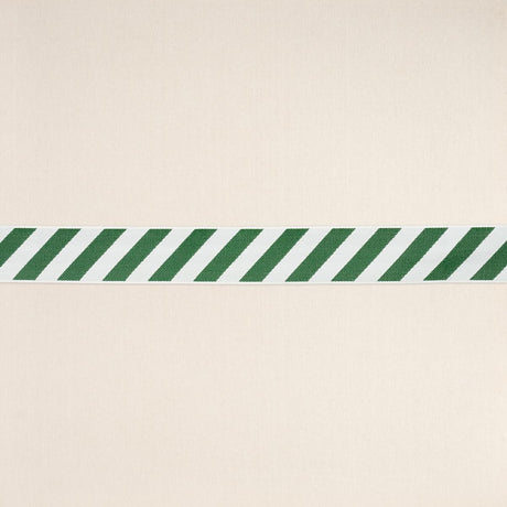 Schumacher Green And Ivory Airmail Ii Indoor/Outdoor Tape