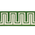 Schumacher Green Zeus Indoor/Outdoor Tape